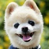 电力菜鸟讲故事