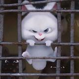 捡到一个小宠物