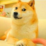 数码科技中毒品