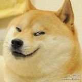 娱乐搞笑汪