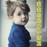 宝宝的贴身小侍卫