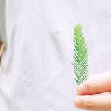 干了这碗毒鸡汤