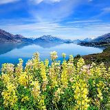 青柠梦境的生活