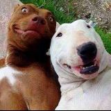 琴琴聊娱乐趣事儿