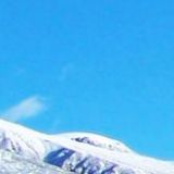 汗思娜娱乐大咖