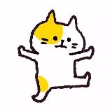 小池养猪户
