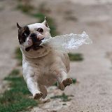 瑜瑜聊娱乐趣事