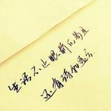慢娱乐手抄