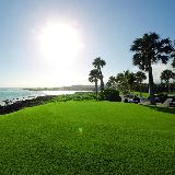 彼得大帝