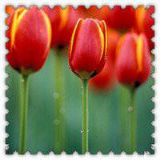 你就是你我不懂