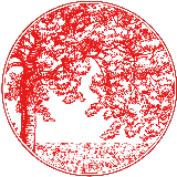 生活健康的那点事儿