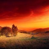 青春在空中飘着