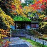 一次浪漫的旅行