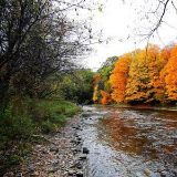 尉迟贺娱乐专家