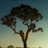 小灀娱乐小分队