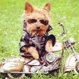 互联网圈子那点事