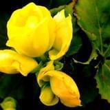 小吴讲星座性格