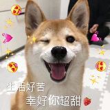 今天也要安利综艺呀