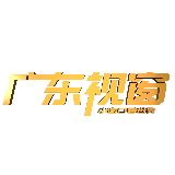 广东视窗