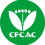 中国少年儿童文化艺术基金会