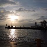 树辛生活小方法