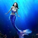 娱乐美人鱼