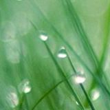 巷口娱乐小分队