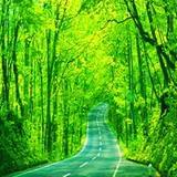 婷婷教你讲冷笑话