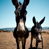 治情细说生活事