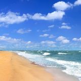 讨人喜的小正太