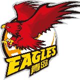 青岛国信双星男篮资讯