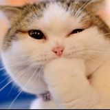 木桥轻雨一伞开