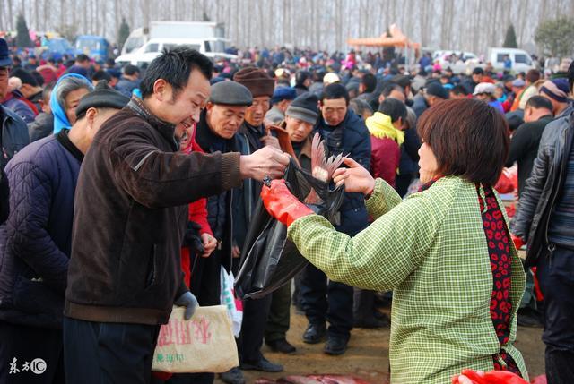 在农村,有一种乡愁叫"赶集",聊城8县市各个乡镇大集最