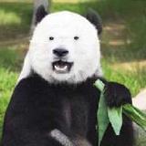 拯救你的不开心
