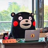 左耳朵冷的拾光纪