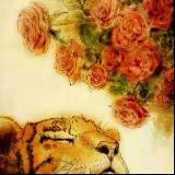 一路向前的旅行功课