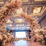 逃亡的亚历山大