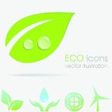 爱旅游的小鱼鱼