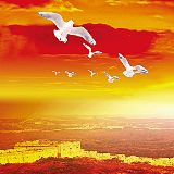 红色的旗帜高高飘扬