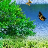 赵经艺生活大咖