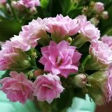 小一的旅行记录