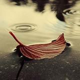 一个文艺小农民