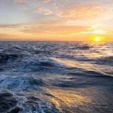 血染倾思殇后台