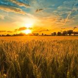 世界有你跟精彩