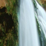 思思娱乐小分队