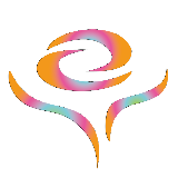 花样年华全球旅养