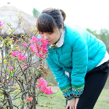 韩昊洋旅游记录