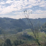 乡村周强