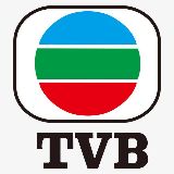 TVB小蜜蜂