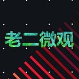 老二微观